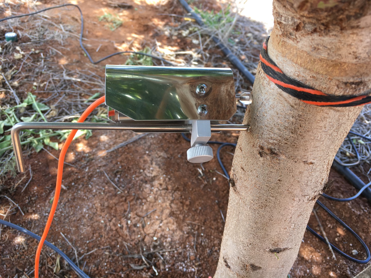 Implexx Dendrometer