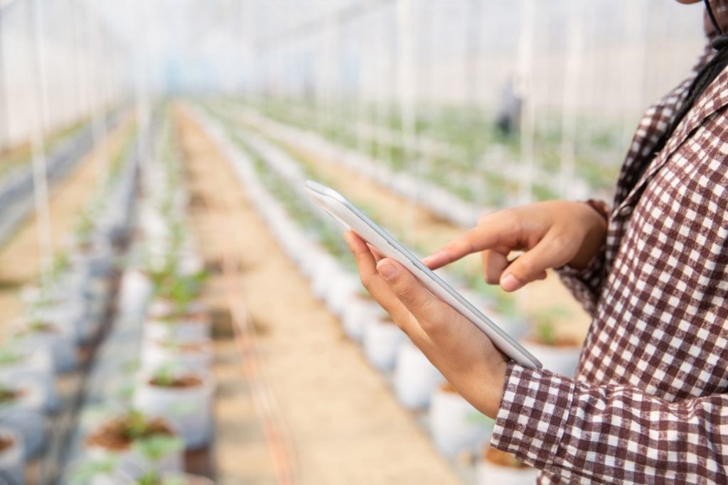A person checking a tablet beside plants in a greenhouse