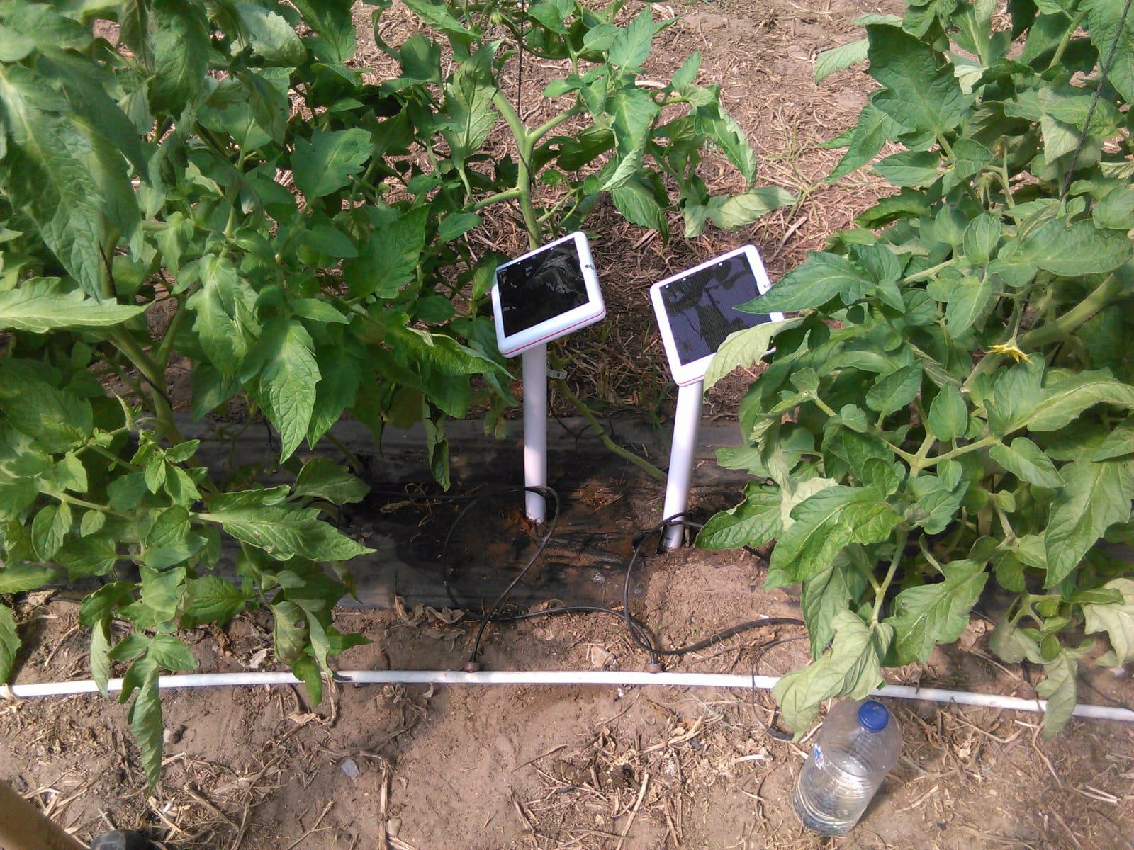 Unidades Terra instaladas junto a plantas