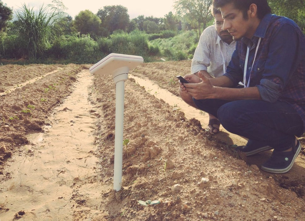 Una persona consulta un sensor de campo desde un teléfono